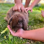 公寓式酒店 Stadler 弗拉绍