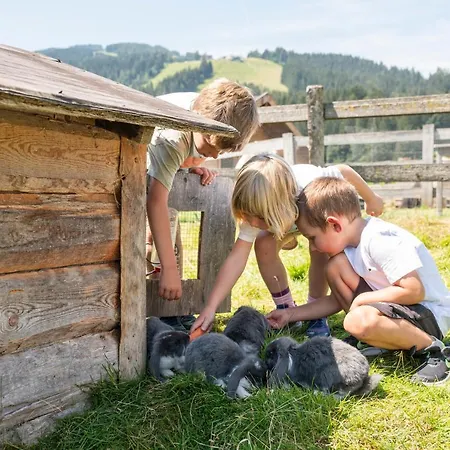 מלון דירות Stadler פלאכאו