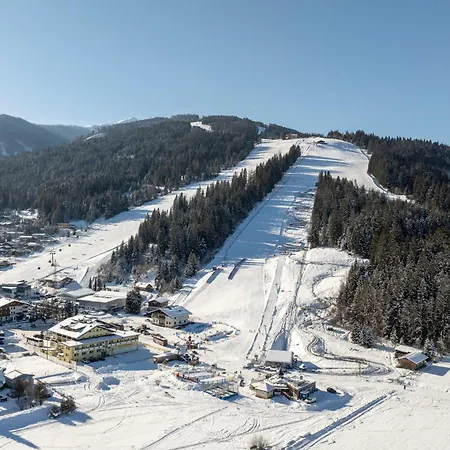 מלון דירות Stadler