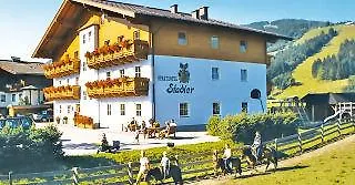 Stadler 3* Flachau