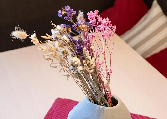 Stadler Aparthotel Flachau